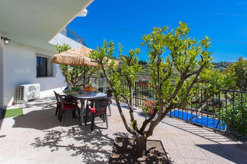 尼斯Echapee Belle - Vinayard View - Jacuzzi Bbq - Parking公寓 外观 照片