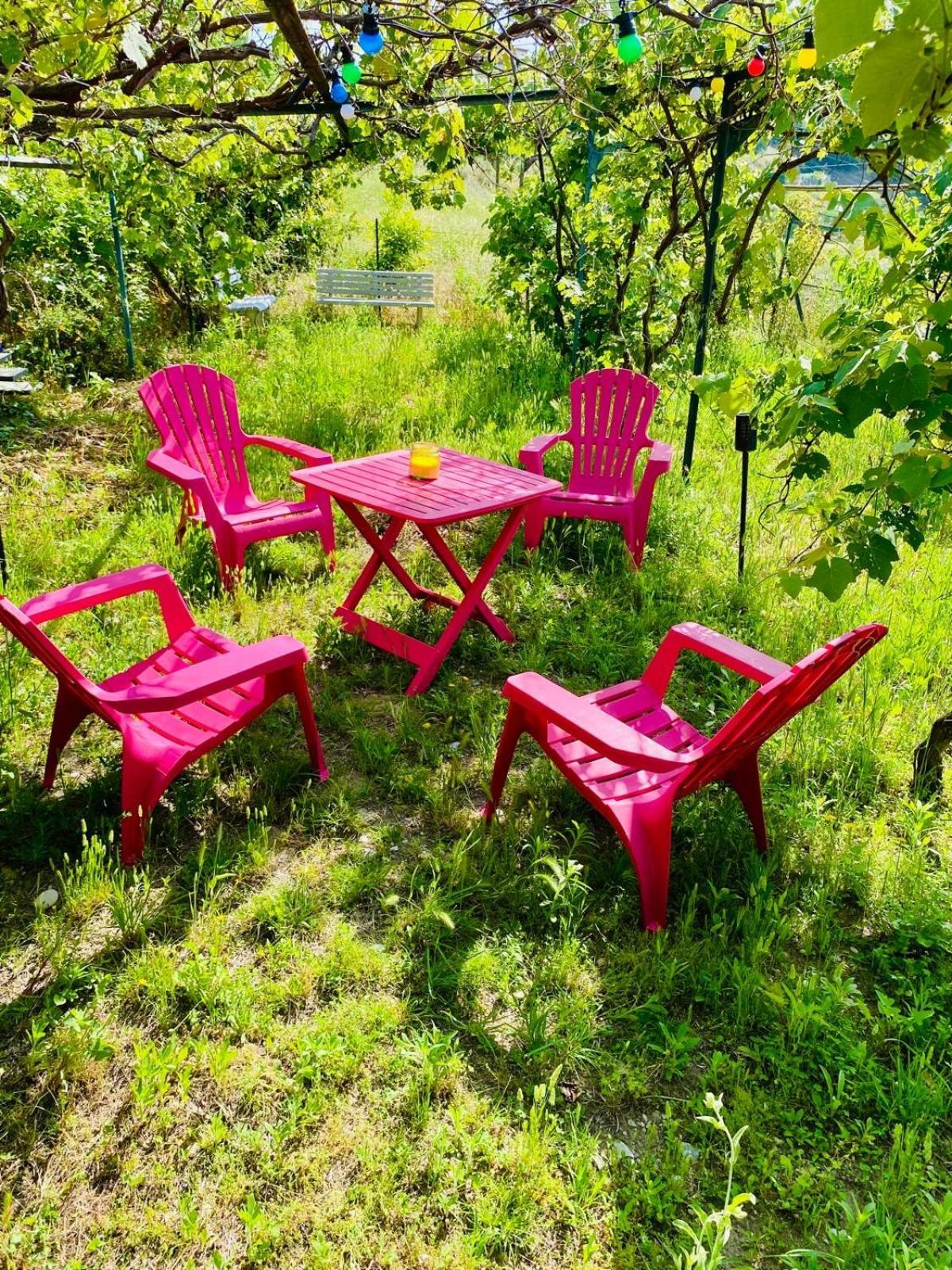 尼斯Echapee Belle - Vinayard View - Jacuzzi Bbq - Parking公寓 外观 照片